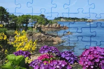 mer et fleurs jigsaw puzzle