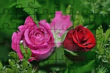 OK jigsaw puzzle