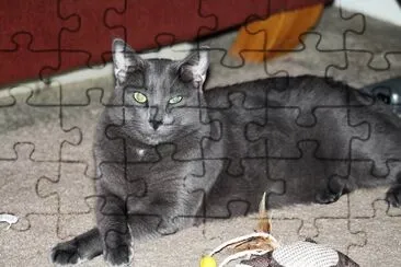  jigsaw puzzle