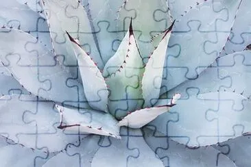 OK jigsaw puzzle