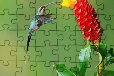 flores jigsaw puzzle