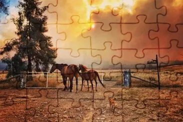 Bushfire at Cookamidgera jigsaw puzzle