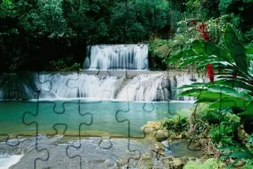 1 jigsaw puzzle