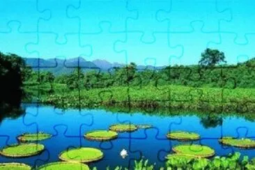 Nature jigsaw puzzle