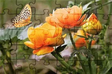 natural jigsaw puzzle