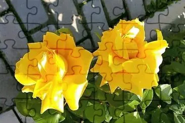 flores jigsaw puzzle