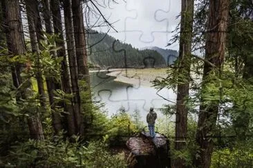 Nature jigsaw puzzle