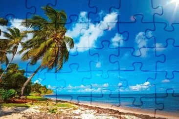 1 jigsaw puzzle