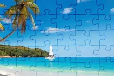 1 jigsaw puzzle