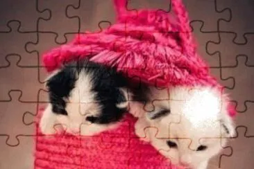 natural jigsaw puzzle