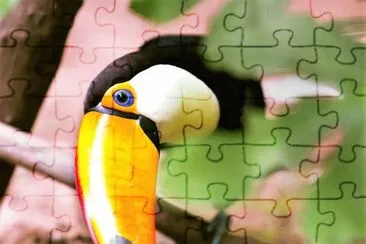 natural jigsaw puzzle