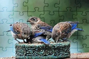 natural jigsaw puzzle