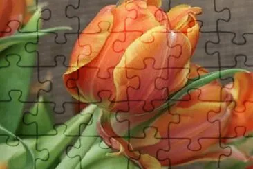 OK jigsaw puzzle