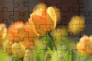 OK jigsaw puzzle