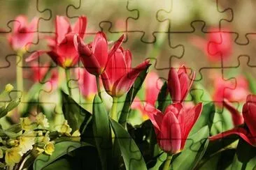 OK jigsaw puzzle