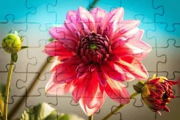 OK jigsaw puzzle