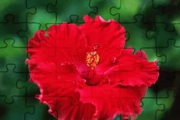 OK jigsaw puzzle