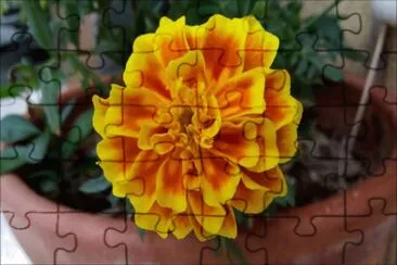 OK jigsaw puzzle