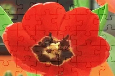 OK jigsaw puzzle