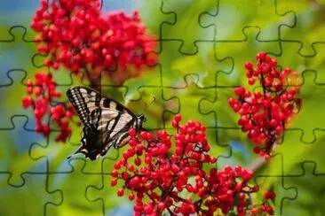 MARIPOSA jigsaw puzzle