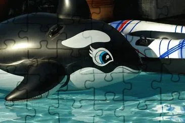 פאזל של orca