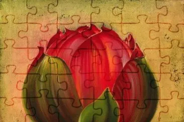 Lotus Bloom jigsaw puzzle