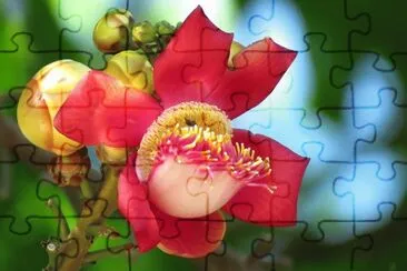 flores jigsaw puzzle