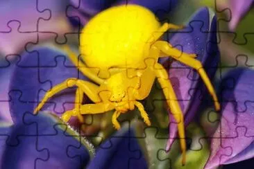 OK jigsaw puzzle