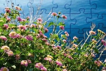 OK jigsaw puzzle