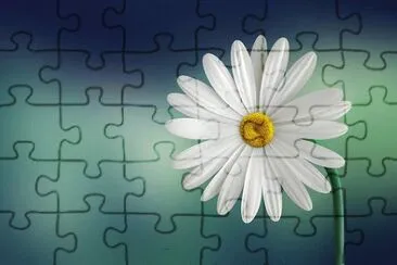 OK jigsaw puzzle