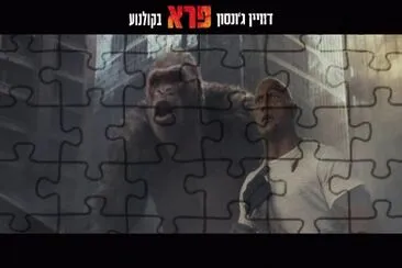 ×“×•×•×™×Ÿ ×’ '× ×¡×•×Ÿ