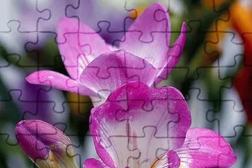 OK jigsaw puzzle