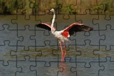 2008 jigsaw puzzle