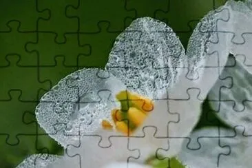 OK jigsaw puzzle