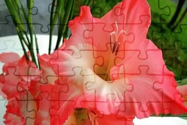 OK jigsaw puzzle