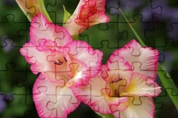 OK jigsaw puzzle