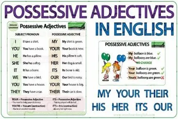 Possessive Adjectives