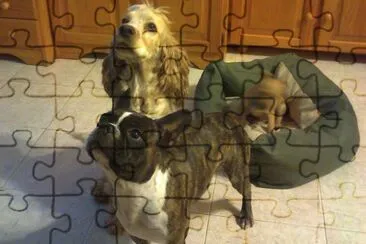 Mis amigos de 4 patas jigsaw puzzle