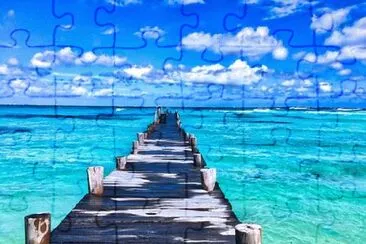 1 jigsaw puzzle