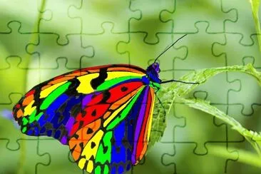 mariposas jigsaw puzzle