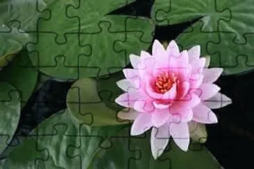 OK jigsaw puzzle