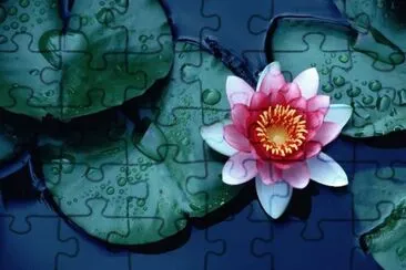 OK jigsaw puzzle