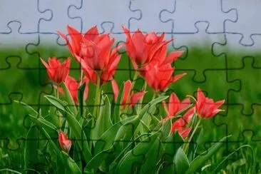 OK jigsaw puzzle