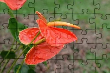 OK jigsaw puzzle