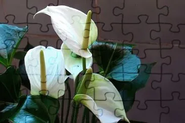 OK jigsaw puzzle