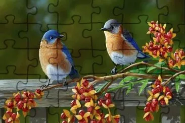 5 jigsaw puzzle