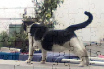 Mustaffa jigsaw puzzle