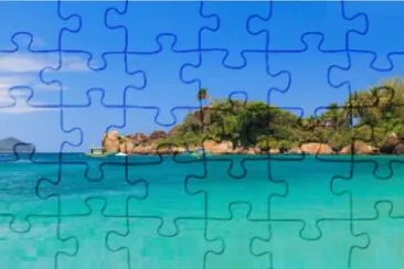 1 jigsaw puzzle