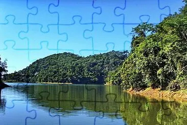 1 jigsaw puzzle