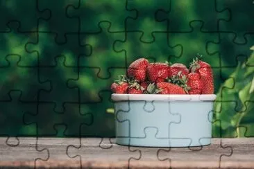  jigsaw puzzle